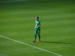 开云APP-火箭绝杀灰熊，字母哥爆发神勇：一个夜晚的篮球传奇