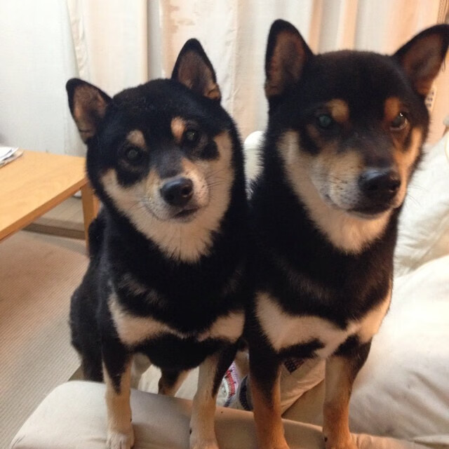 开云下载-山西队火力全开压制奇才，乔治逆境爆发诠释篮球救赎真谛